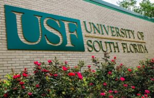 University of South Florida (Університет Південної Флориди)